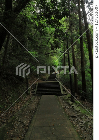 通往金刀比羅神社內宮的長石階景觀 通往金刀比羅神社內宮的長石階景觀 127553007