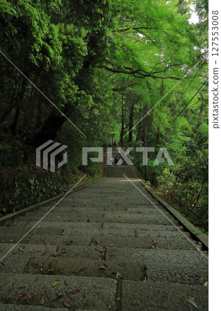 信眾們從金刀比羅神社內殿沿著長長的石階走下來 信眾們從金刀比羅神社內殿沿著長長的石階走下來 127553008