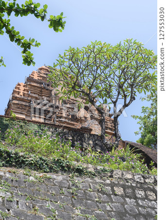 Tropical tree on fortress wall in Po Nagar Cham Towers built in 8 century in Nha Trang, Vietnam Tropical tree on fortress wall in Po Nagar Cham Towers built in 8 century in Nha Trang, Vietnam 127553030
