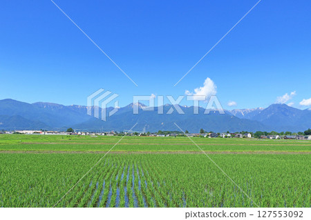 Azumino in early summer and North Alps Azumino in early summer and North Alps 127553092