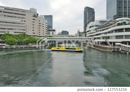 Yellow sea bass in Yokohama Port (Summer, June) Yellow sea bass in Yokohama Port (Summer, June) 127553250
