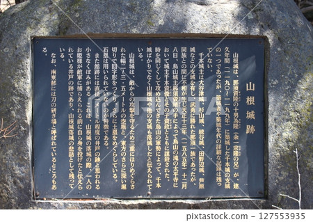 紀念樹森林公園 127553935