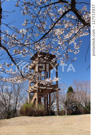 Memorial Tree Forest Park Memorial Tree Forest Park 127553937