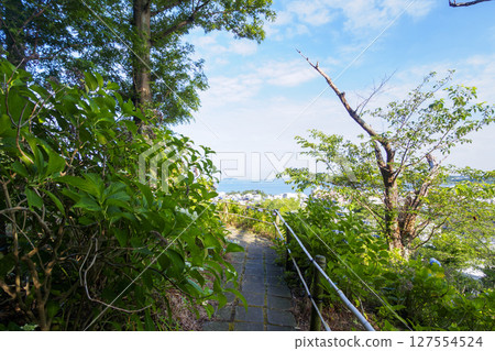 Hydrangeas at Hayama Hydrangea Park 127554524