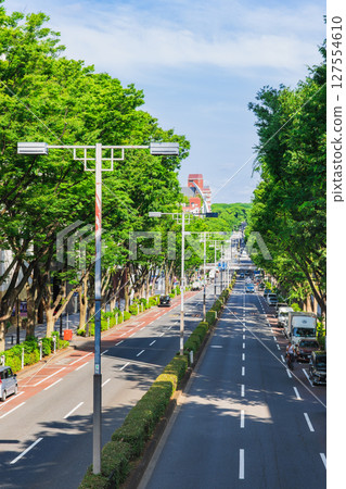 Tokyo fresh green Omotesando Tokyo fresh green Omotesando 127554610