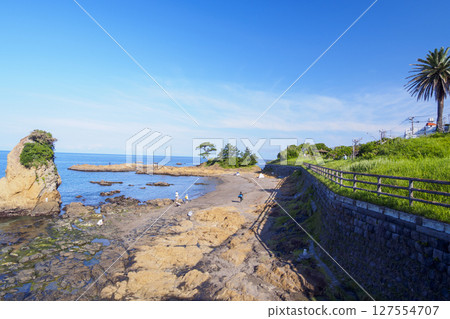 三浦半島的風景名勝立石公園的夏天 三浦半島的風景名勝立石公園的夏天 127554707