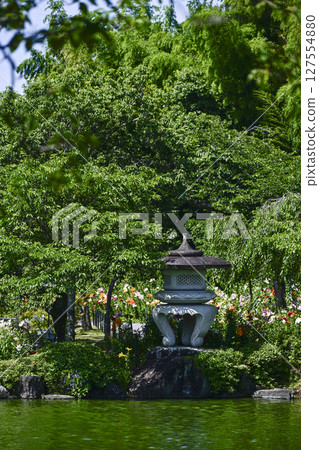 View of the lanterns from the opposite bank of "Kasui Yuri no Sono" View of the lanterns from the opposite bank of "Kasui Yuri no Sono" 127554880