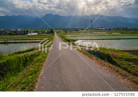 Farm roads, rice fields, and the Northern Alps [Ikeda Town, Kitaazumi District] 127555590