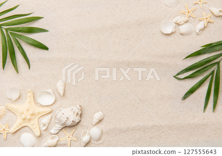 Tropical background featuring palm leaves, seashells, and starfish on sand Tropical background featuring palm leaves, seashells, and starfish on sand 127555643
