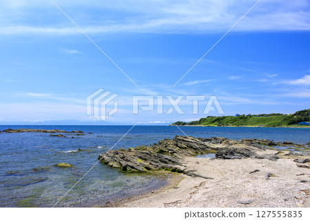 和田長浜夏天 127555835