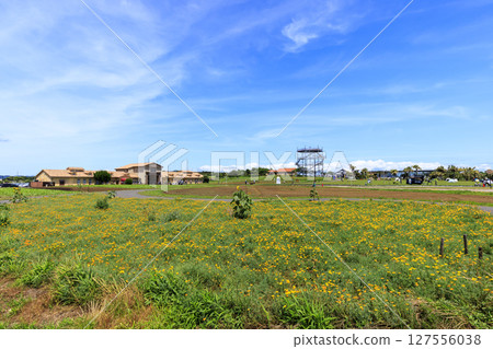 Summer on Soleil Hill 127556038