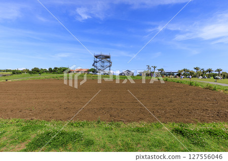 Summer on Soleil Hill 127556046