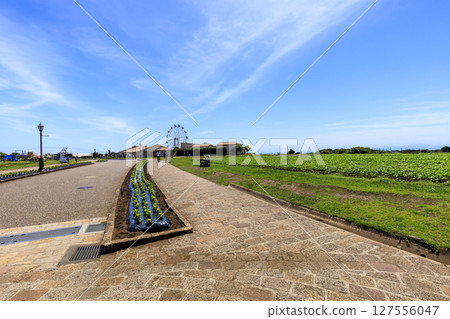 Summer on Soleil Hill 127556047