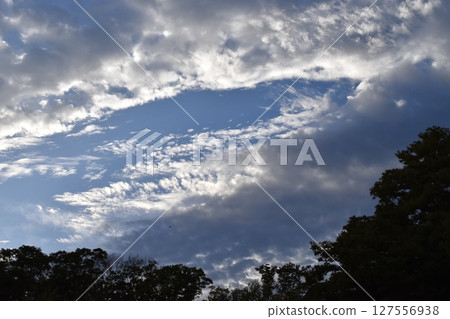 Clouds trailing brightly in the evening sky Clouds trailing brightly in the evening sky 127556938