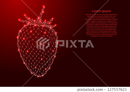 Strawberries, one berry from futuristic polygonal red lines and glowing stars for banner, poster, greeting card. Low poly concept. Vector illustration. Strawberries, one berry from futuristic polygonal red lines and glowing stars for banner, poster, greeting card. Low poly concept. Vector illustration. 127557621