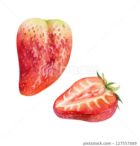 Strawberry ripe fruit with leaves crown full and cut in half hand drawn in watercolor, garden strasberry berry. Botanical isolated illustration. Home preserves cookbook, grocery store food closeup 127557889