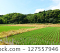 日本鄉村風景 01 127557946