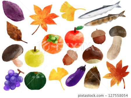Autumn illustration, hand-drawn, watercolor style 127558054