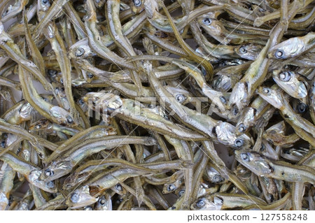 濃鬱的乾沙丁魚風味 127558248