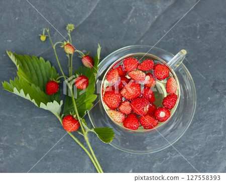 Herbal tea made from leaves of wild Alpine strawberries on the stone. Herbal tea made from leaves of wild Alpine strawberries on the stone. 127558393
