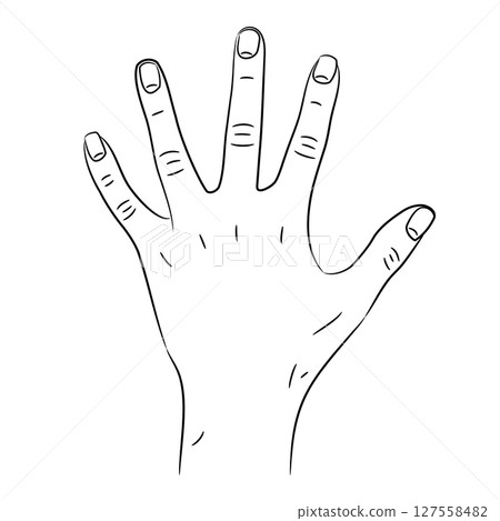 Woman's hand, well - groomed,  with fingers spread apart, sketch draw from contour black brush lines different thickness on white background. Vector illustration. 127558482