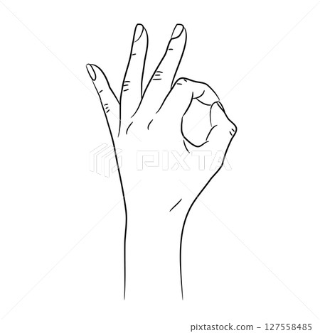 Woman hand showing the ok sign - everything is fine, female fingers, sketch draw from contour black brush lines different thickness on white background. Vector illustration. Woman hand showing the ok sign - everything is fine, female fingers, sketch draw from contour black brush lines different thickness on white background. Vector illustration. 127558485
