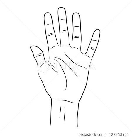 Woman hand an open palm showing splayed five fingers sketch draw from the contour black brush lines different thickness on white background. Vector illustration. 127558501