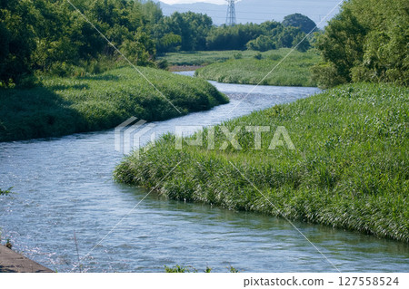 The flow of the Anegawa River in the morning 127558524