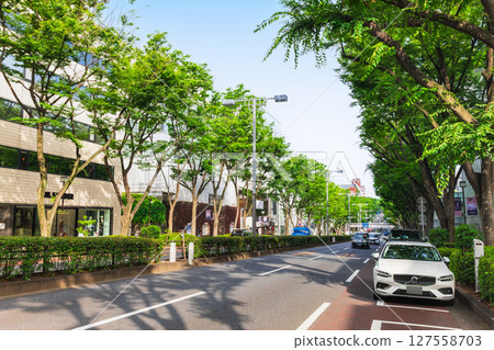 東京新鮮的綠色表參道 127558703