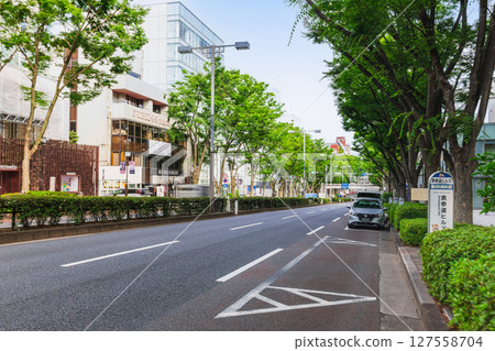 東京新鮮的綠色表參道 127558704