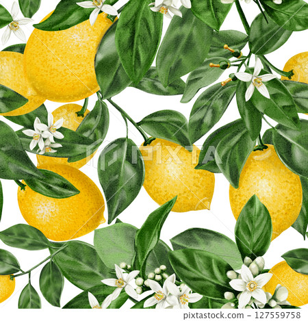 Seamless pattern with lemons. Citrus flowers on a branch with leaves and fruits. Vintage summer pattern for fabric. Small white flowers. Watercolor illustration Hand drawing. For fabric and packaging. Seamless pattern with lemons. Citrus flowers on a branch with leaves and fruits. Vintage summer pattern for fabric. Small white flowers. Watercolor illustration Hand drawing. For fabric and packaging. 127559758