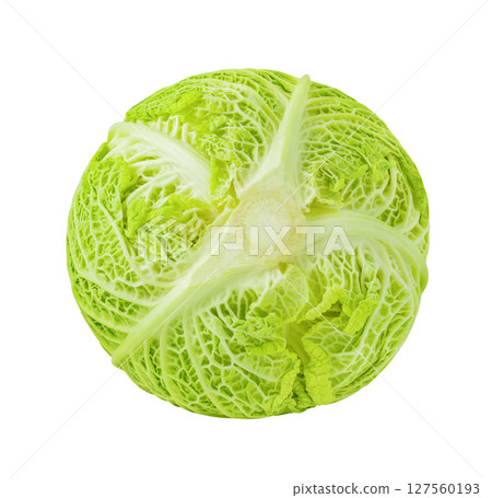 Savoy cabbage head, lower part, isolated on white background with clipping path 127560193