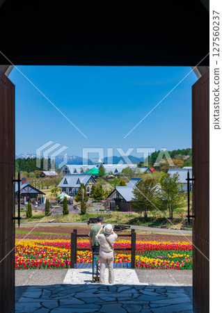 晝野高原、田園村落、鬱金香盛開（岐阜縣上市） 127560237