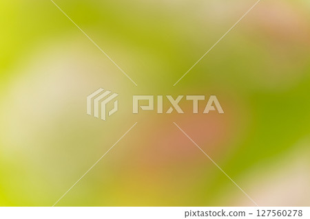 Background material: Gradient, green, MIX 127560278