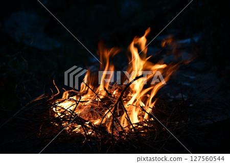 Ring of fire Bailey Colorado Rocky Mountain forest Ring of fire Bailey Colorado Rocky Mountain forest 127560544