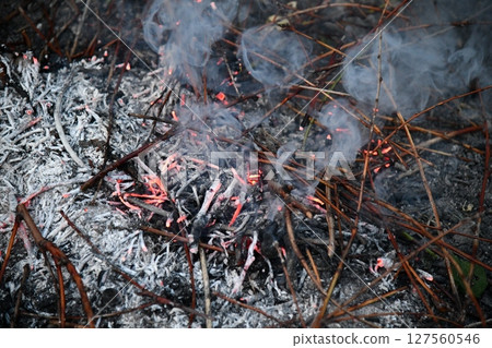 Ring of fire Bailey Colorado Rocky Mountain forest Ring of fire Bailey Colorado Rocky Mountain forest 127560546