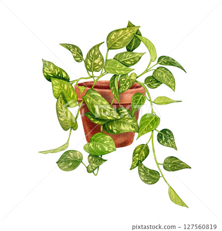 Epipremnum plant in a terracotta pot. Watercolor illustration of trailing green vines with variegated leaves. Ideal for home decor, gardening themes, eco-friendly projects, and interior design visual. Epipremnum plant in a terracotta pot. Watercolor illustration of trailing green vines with variegated leaves. Ideal for home decor, gardening themes, eco-friendly projects, and interior design visual. 127560819