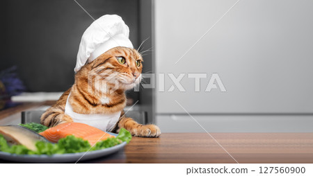 The cat chef looks at a plate of fish. 127560900
