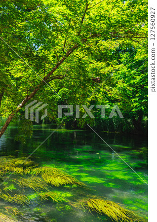 Azumino in early summer: Clear stream scenery 127560927