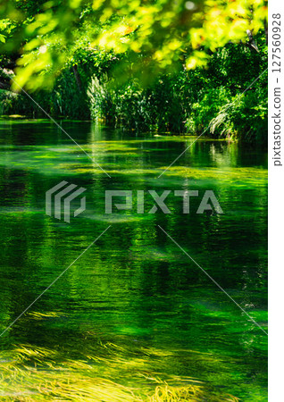 初夏的安曇野:清澈的溪流風景 初夏的安曇野:清澈的溪流風景 127560928