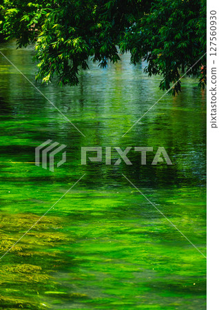 初夏的安曇野：清澈的溪流風景 127560930