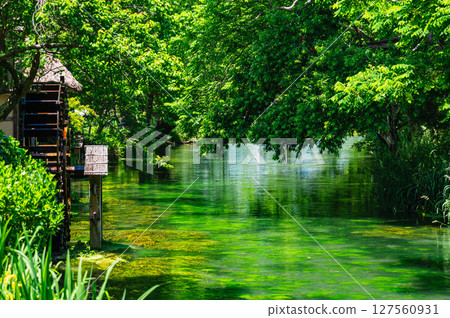 初夏的安曇野:Tade 河和水車 初夏的安曇野:Tade 河和水車 127560931