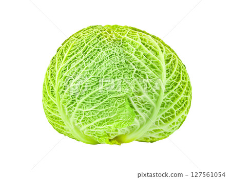 Savoy cabbage head, kitchen garden, winter green vegetable, isolated on white background with clipping path 127561054