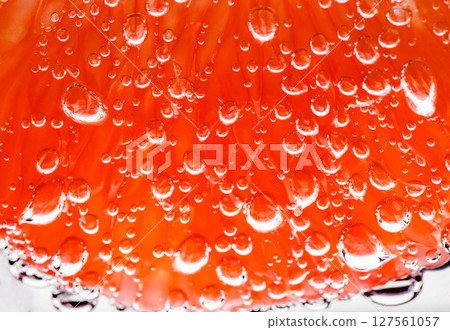 Grapefruit slice peeled pulpy capsules in water with air sphere bubbles, in background light, close-up selective focus Grapefruit slice peeled pulpy capsules in water with air sphere bubbles, in background light, close-up selective focus 127561057