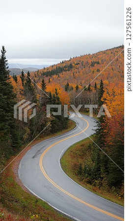 A scenic road winding through a forest in fall. 127561226