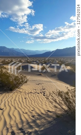 A vast desert with rolling sand dunes. 127562014