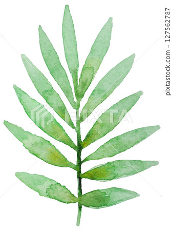 Watercolor illustration summer tropical Watercolor illustration summer tropical 127562787
