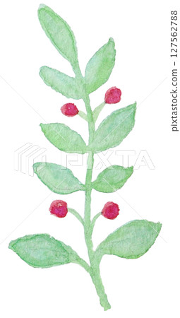 Watercolor illustration summer tropical Watercolor illustration summer tropical 127562788