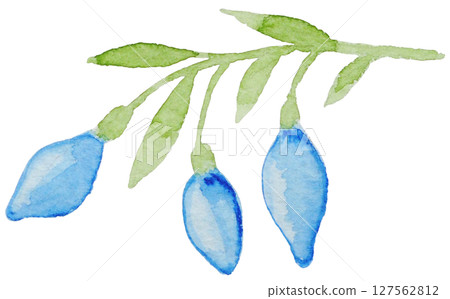 Watercolor illustration summer tropical Watercolor illustration summer tropical 127562812