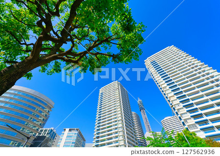 [Kanagawa Prefecture] May: Want to live in the popular Minato Mirai area of Yokohama? 127562936